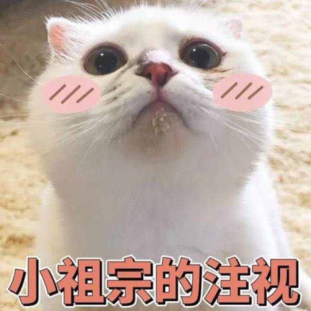 怎么拍摄抖音视频才会火_热点抖音明星视频怎么做的呢,_拍摄传播正能量的内容