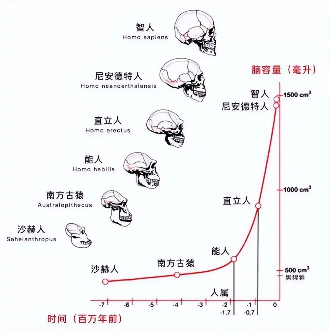 神创论与外星人创造论对比_人类起源进化论科普_人类与动物实操ppt看视频