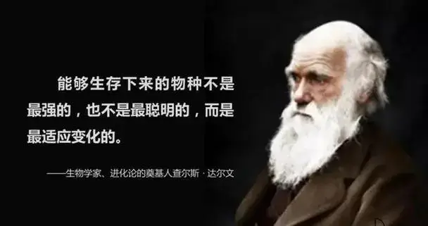人类与动物实操ppt看视频_神创论与外星人创造论对比_人类起源进化论科普